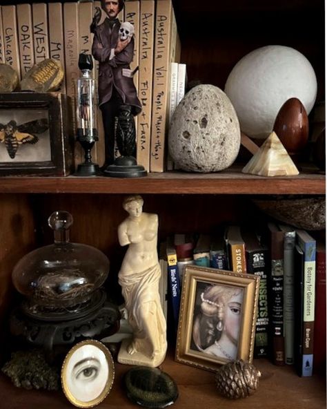 Cabinet Of Curiosity, Curiosity Cabinet, Cabinet Of Curiosities, Eclectic Living Room, Apartment Decor Inspiration, Classical Art, Room Inspiration Bedroom, Interior Inspo, Dream Room