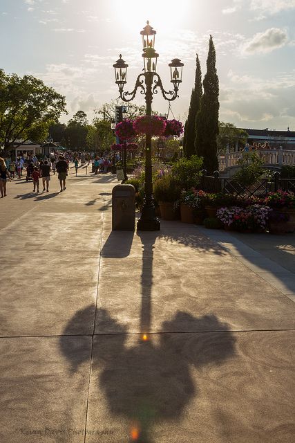 Hidden Mickey Shadow [Explored 4/10/13 #481] by Kevin-Davis-Photography on Flickr.  That’s Disney for you. Hidden Mickeys, Disney Cute, Images Disney, Disney Side, Hidden Mickey, Disney Life, Happiest Place On Earth, Disney Kids, To Infinity And Beyond