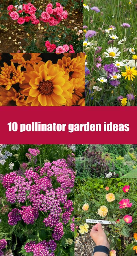 Looking to plant your own pollinator garden but not sure where to start? Here are a few simple tips to get you started and to inspire you as you make your own garden to attract native pollinators. Those native pollinators will go on to provide food to the ecosystem. Pollinator gardens are packed with plants … Pollinator Garden Ideas, Plants To Attract Bees, Pollinator Garden Design, Edible Forest, Gardening With Kids, Vegetables To Grow, Organic Fruits, Leafy Plants, Permaculture Gardening