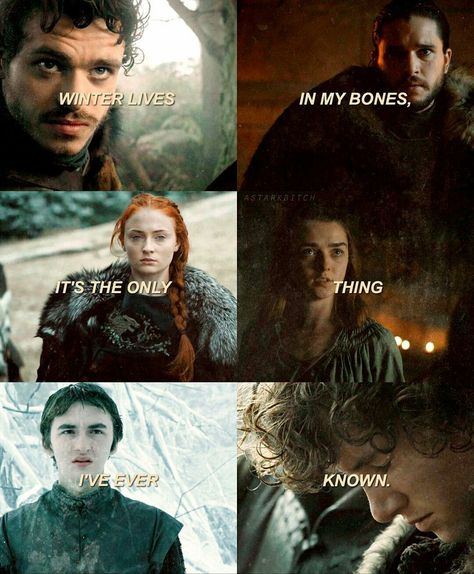 Starks Stark Children, Game Of Thrones Tv, Robb Stark, Got Game Of Thrones, Game Of Thrones Quotes, Game Of Thrones Funny, Kings Game, House Stark, Gra O Tron