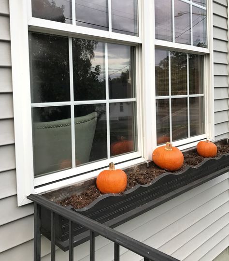 Call Window Boxes, Window Boxes Fall Autumn, Window Flower Boxes Fall, Fall Decor Window Sill, Diy Fall Window Boxes, Fall Planter Boxes Ideas, Windowbox Planter Ideas Fall, Mums Window Boxes, Faux Fall Window Boxes