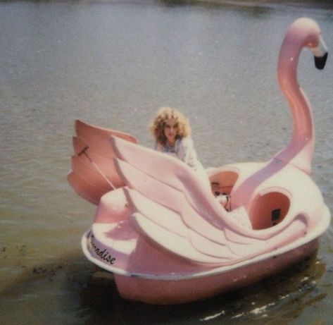 Swan Boat, Pink Swan, 1989 Tv, Petra Collins, Tout Rose, Pink Lake, Tickled Pink, Everything Pink, 인물 사진