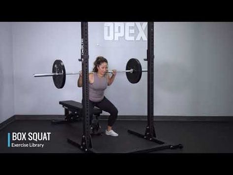 How to Do Box Squats: Form, Benefits & Alternatives | Legion Box Squats, Squat Form, Squat Variations, Muscle Growth, Range Of Motion, Build Muscle, Clear Water, Fitness Tips, Benefits