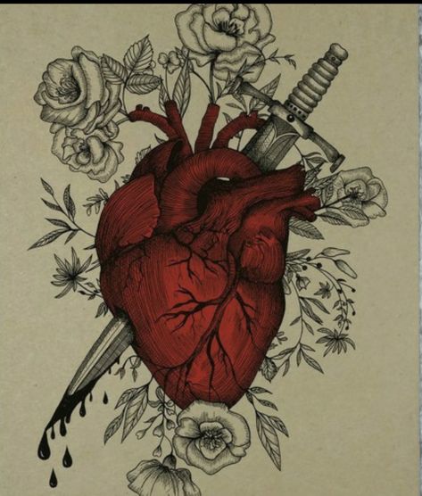 Anatomical Heart Drawing, Heart Organ, Life Core, Anatomical Heart Tattoo, Black Drawing, Gothic Wall Art, Heart Sketch, Heart Illustration, Heart Red