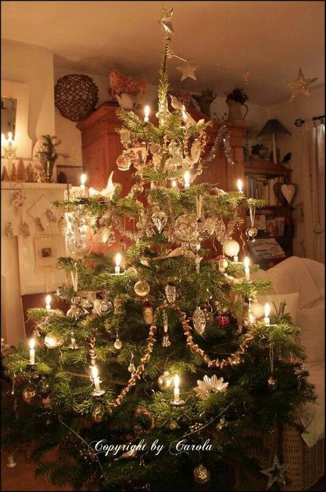 Victorian Tree Christmas Boyfriend, Old Fashion Christmas Tree, Boyfriend Ideas, Beautiful Christmas Trees, Old Fashioned Christmas, Christmas Past, Primitive Christmas, Victorian Christmas, Vintage Christmas Tree