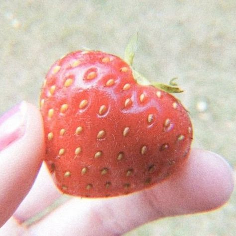 Taehyung Eating Strawberry, Taehyung Eating, Eating Strawberry, Lovecore Aesthetic, Cute Kpop, Red Strawberry, Aesthetic Pictures, We Heart It, Lost