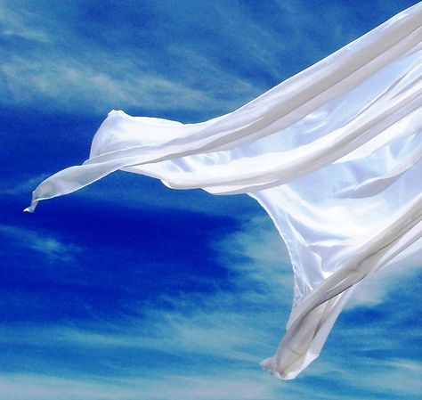 Laundry Art, Blue Neighbourhood, Blowin' In The Wind, Blowing In The Wind, Beach Color, Le Vent, White Curtains, Gone With The Wind, Summer Blue