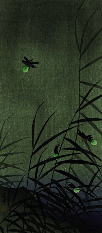 'Fireflies' (c.1930) by Japanese artist & printmaker Ohara Koson (1877-1945) Art Chinois, Ohara Koson, Japanese Artwork, Eastern Art, Art Japonais, Japanese Woodblock Printing, Japanese Painting, Jairzinho, Japan Art