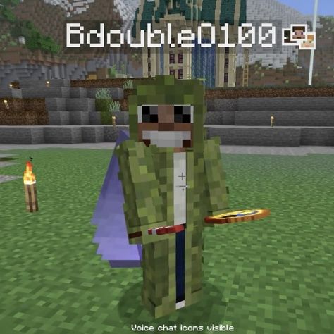 Bdoubleo100 Hermitcraft, Hermit Life, Minecraft People, Psychological Help, Voice Chat, Life Series, Double Life, Minecraft Youtubers, After Life