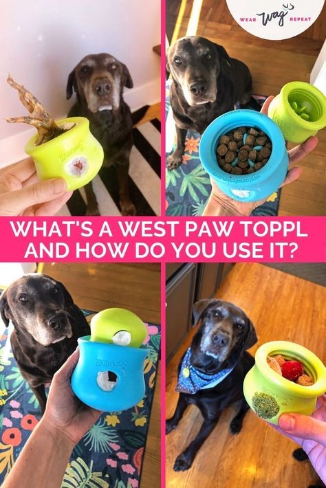 West Paw Qwizl Ideas, West Paw Dog Toys, Frozen Enrichment Treats For Dogs, West Paw Recipes, Toppl Dog Recipes, Toppl Dog, Chew Toys For Dogs, Kong Stuffing, Kong Recipes