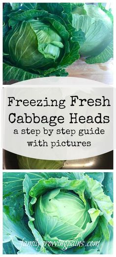 Freezer Cabbage Recipes, Freezing Cabbage, Freezing Veggies, Freeze Vegetables, Freeze Food, Freezing Fruit, Freezing Vegetables, Cabbage Head, Preserving Foods