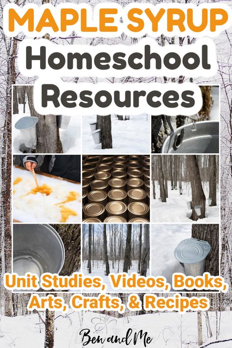 Maple Syrup Activities Preschool, Maple Syrup Activities, Maple Syrup Activities For Kids, Maple Syrup Unit Study, Maple Sugaring Activities, Fall Nature Study Homeschool, Homeschool Classroom Setup, Tree Tapping, Nature Based Preschool