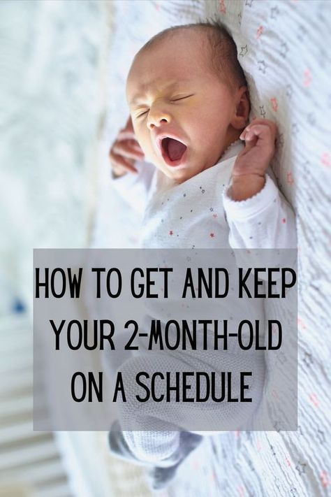 How to get and keep your 2-month-old on a napping schedule. 2-month-old's should be getting 14-17 hours of sleep a day. Prevent your child from being overtired by implementing a nap schedule, you will find that your baby is happier when they are awake. Baby Sleep Schedule. Baby daily activities. #2monthold #baby #babysleepschedule 2 Month Old Schedule, 2 Month Old Baby, 2 Month Baby, Baby Routine, Newborn Needs, Baby Schedule, Baby Sleep Schedule, Baby Nap, Sleep Training Baby