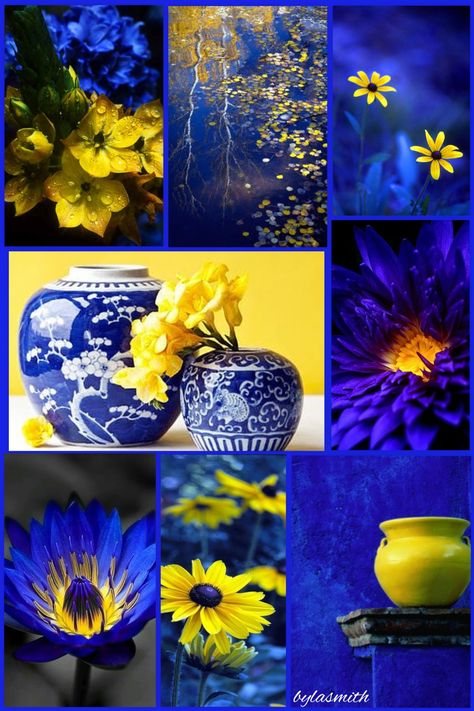 Royal Blue And Yellow Color Palette, Royal Blue Color Combinations Outfits, Royal Blue Colour Combination, Royal Blue Color Combinations, Anniversary Colors, Aurora Colors, Royal Outfit, Boho Prom Dress, Boho Prom