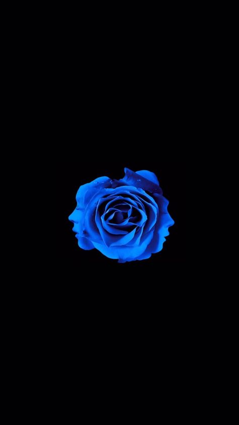 Rose Wallpaper Iphone, Lock Screen Iphone, Iphone Blue, Blue Roses Wallpaper, Black And Blue Wallpaper, Iphone Lock Screen, Blue Rose Tattoos, Screen Iphone, Blue Flower Wallpaper