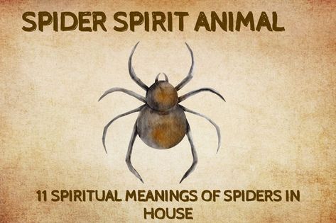 Some people are fascinated by spiders while others find them abhorrent – but either way, they are also powerfully symbolic, and if you see one in your house, you can be sure that it brings Spider Symbolism, Spirit Animal Test, Raven Spirit Animal, Cat Spirit Animal, Spirit Animal Quiz, Animal Quiz, Creative Jobs, Your Spirit Animal, Feeling Trapped