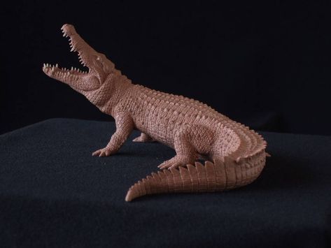 Crocodile Reference, Reptile Anatomy, Alligator Sculpture, Crocodile Sculpture, Flo Grown, Bratz Doll Makeup, Fauna Illustration, Zbrush Models, Nile Crocodile