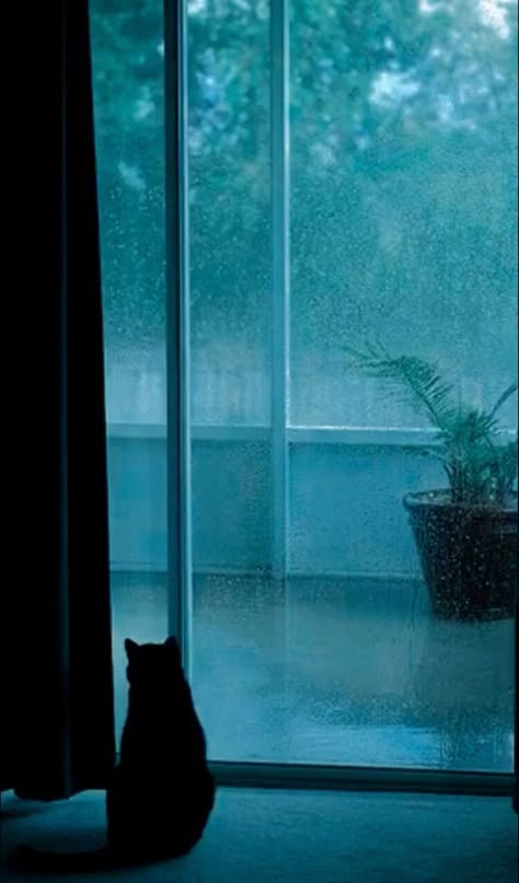 Night Aesthetic Blue, Teal Aesthetic, Turquoise Aesthetic, Fairy Grunge Aesthetic, Rainy Day Aesthetic, I Love Rain, Aesthetics Wallpaper, Dark Green Aesthetic, Day Aesthetic