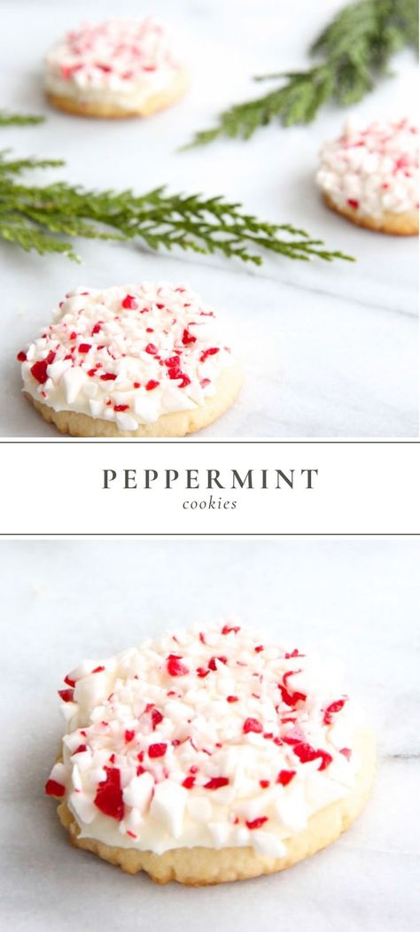 Peppermint Buttercream, Peppermint Cookie Recipe, Christmas All Year, Peppermint Recipes, Peppermint Sugar Cookies, Cookie Base, Candy Cane Cookies, Peppermint Sugar, Holiday Dessert Recipes