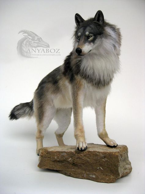 Grey Wolf Room Guardian by AnyaBoz on DeviantArt Felted Wolf, Wolf Room, Room Guardian, Posable Art Doll, Realistic Wolf, Chicken Wire Art, Plastic Ball, Doll Plushies, Carnelian Crystal