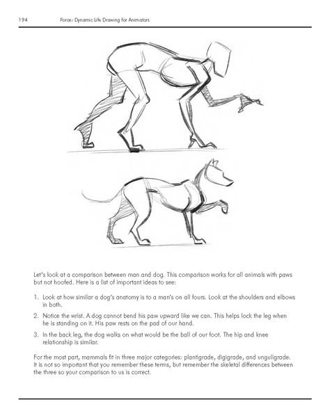 Michael D. Matters On All Fours Reference Drawing, Animal Poses Drawing, Paint Animals, Snake Art, Creative Drawing Prompts, Body Reference Drawing, Drawing Prompt, Sketches Tutorial, Concept Art Drawing