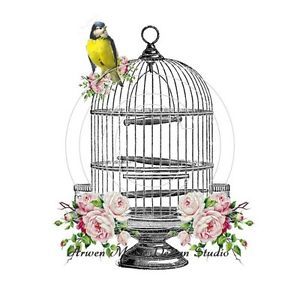 Vintage Bird Cage Tattoo, Vintage Bird Cage Drawing, Waterslide Decals, Victorian Vintage, Shabby Style, Yellow Bird, Style Chic, Bird Cage, Vintage Chic