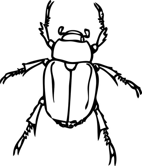 Beetle, Japanese Beetle, June Bug, Scarab, Insect, Bug Japanese Beetle, Beetle Drawing, Bugs Drawing, Learn To Tattoo, Beetle Tattoo, Insect Crafts, Bug Tattoo, Insect Tattoo, Sharpie Tattoos