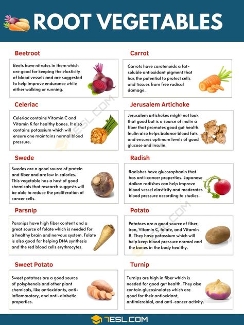 Root Vegetables | Top 10 Root Vegetables & Their Amazing Benefits Vegetable Benefits Chart, Vegetables And Their Nutrients, List Of Root Vegetables, Health Benefits Of Vegetables, Types Of Root Vegetables, Root Vegetables List, Vegetables And Their Benefits, Root Vegetable Recipes, Understanding Nutrition