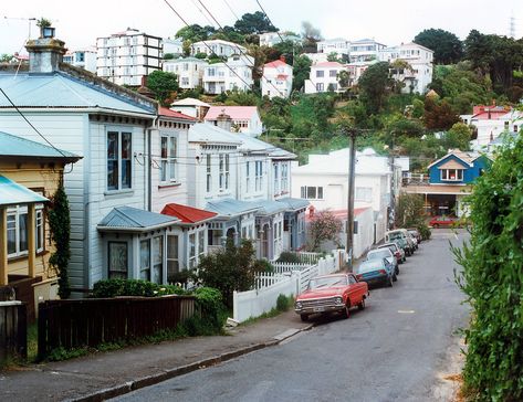 Devon Street, Aro Valley | Wellington City Libraries Wellington City, City Library, Wellington New Zealand, Local Library, Digital Archives, Home Tv, Animal Party, Time Travel, Wellington