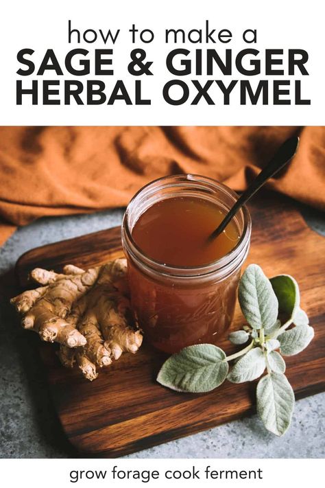 How to make herbal oxymel with sage and ginger. When fall comes, it's a good idea to start thinking about herbal remedies that will keep you healthy through winter. This herbal oxymel recipe with sage and ginger is easy to make and has many benefits for the immune system. It also happens to be deliciously sweet and sour! Oxymel Recipe, Medicine Recipes, Sage Recipes, Infused Honey, Herbal Medicine Recipes, Herbal Remedies Recipes, Diy Herbal Remedies, Herb Gardening, Herbal Recipes