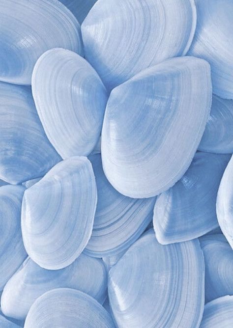 Cute Blue Wallpaper, Baby Blue Aesthetic, Light Blue Aesthetic, Blue Aesthetic Pastel, Cool Backgrounds Wallpapers, Bleu Pastel, Visual Aesthetics, Fruit Art, Periwinkle Blue