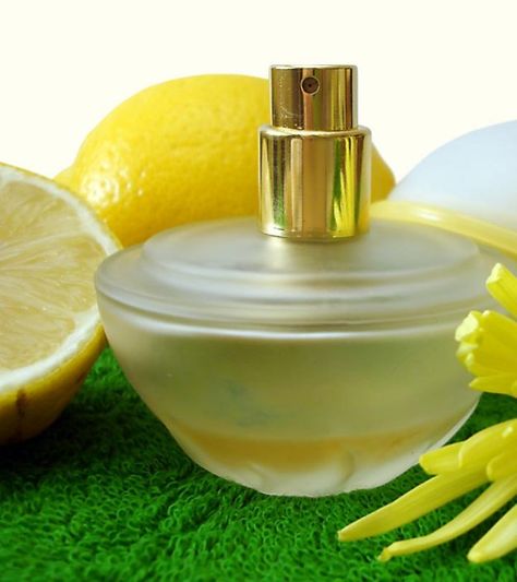 10 Best Lemon Perfumes To Try Today Lemon Perfume, Victorias Secret Perfumes, Citrus Perfume, Novel Aesthetic, Victoria's Secret Perfume, List Of Favorites, Fine Curly Hair, Sassy Chic, Lemon Sorbet