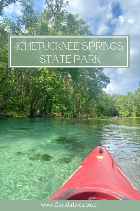 Ichetucknee Springs State Park - Florida Lives Ichetucknee Springs Florida, Ginnie Springs Florida, High Springs Florida, Ruskin Florida, Florida Caverns State Park, Florida Parks, Florida Camping, Park River, Florida State Parks