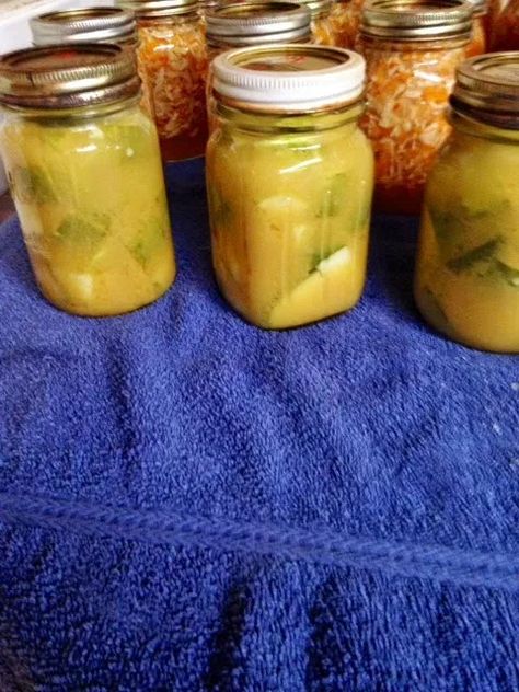 Freezer Slaw, Mustard Pickle Recipe, Quick Pickle Recipe, Homemade Horseradish, Homemade Mustard, Dill Pickle Recipe, Canning 101, Pickles Recipe, Canning Pickles