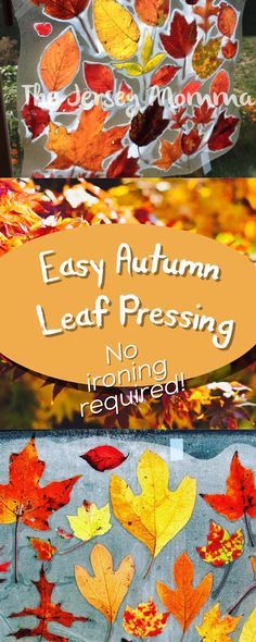 Pressed Leaves Crafts, Leaf Pressing Art, How To Press Leaves, Leaf Pressing, Preserve Fall Leaves, Leaf Crafts Kids, Easy Kid Activities, Leaf Projects, Leaf Book