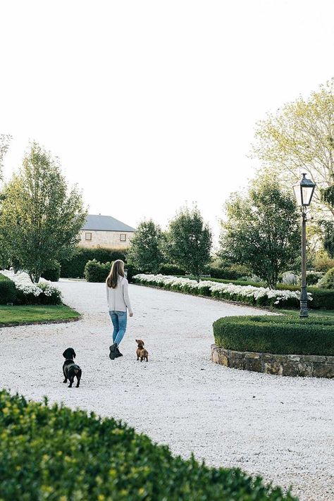 Explore the formal lavender garden at The Granary, TAS | Country Style Acreage Landscaping, Laurel Hedge, Country Style Magazine, Modern Homestead, Landscaping On A Hill, Black Houses, Outside Pool, Australian Native Garden, Cool Fire Pits