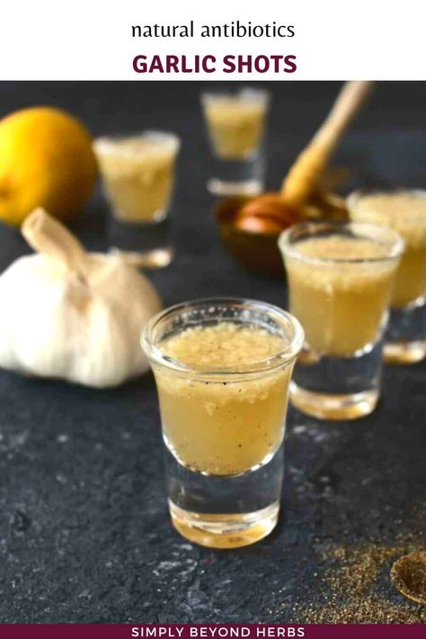 Garlic As An Antibiotic, Garlic Shots, Garlic Shoots, Tinctures Recipes, Best Cough Remedy, Garlic Health Benefits, Garlic Juice, Garlic Benefits, Wellness Shots