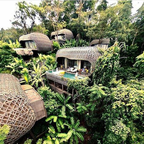 Keemala, Phuket, Thailand.    The resort is positioned in the hills and surrounded by an enchanted canopy of rainforest. Villas are connected all together by a network of jungle walkways, complete with outdoor terraces and private pools     See Instagram photos and videos from We ♥ Hotels (@we.love.hotels) Jungle Resort, Amazing Hotels, Jungle House, Resort Architecture, Cool Tree Houses, Tree House Designs, Resort Design, Beautiful Hotels, Vacation Places