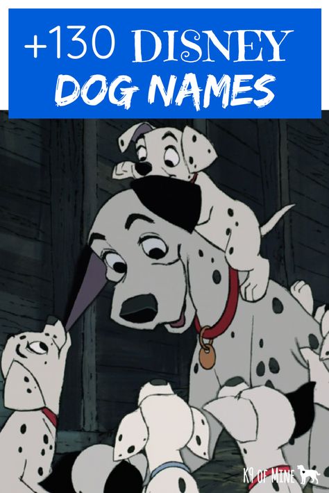 Disney names for your dog! #dogs Disney Boy Names, Dog Names Disney, Disney Dog Names, Disney Pet Names, Puppy Names Unique, Disney Character Names, Puppies Names Female, Dogs Names List, Cartoon Characters Names