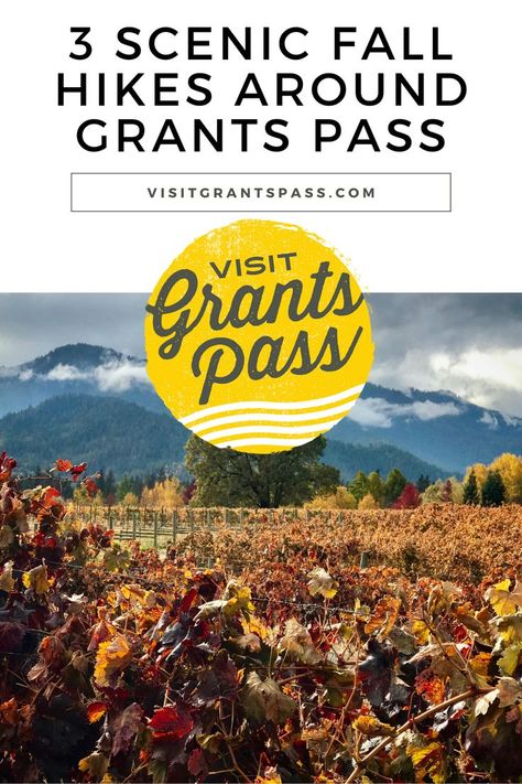 A title card reads "3 Scenic fall hikes around Grants Pass", a small rivertown in Southern Oregon. Go to Visitgrantspass.com to learn more. An image of fall colors in the local vineyards is on the title card. Fall Hikes, Grants Pass Oregon, Grants Pass, Cell Tower, River Trail, Trekking Poles, Mountain Trails, Fall Hiking, Fish Ponds