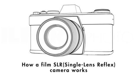 This neat animation shows how a Single Lens Reflex camera works Single Lens Reflex Camera, Reflex Camera, Photo Board, Photo Boards, The Globe, It Works