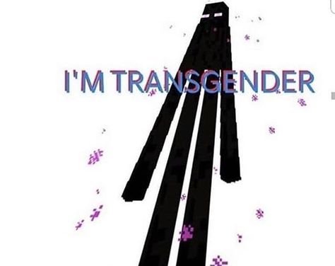 Transmasc Memes Humor, Trans Tips, Trans Things, Trans Masc, Lgbt Humor, Trans Art, Trans Boys, Lgbt Memes, Lgbtq Funny