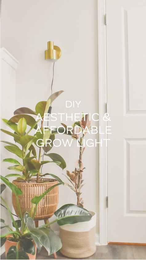 This is my go to way to add grow lights around my house in an affordable & aesthetic way. It only takes a few minutes to set up and it… | Instagram Cute Grow Light Setup, Diy Grow Light Indoor Plants, Aesthetic Grow Light Set Up, Aesthetic Grow Light, Grow Light Set Up, Plant Lamps, Plant Lights, Indoor Tree, Affordable Aesthetic