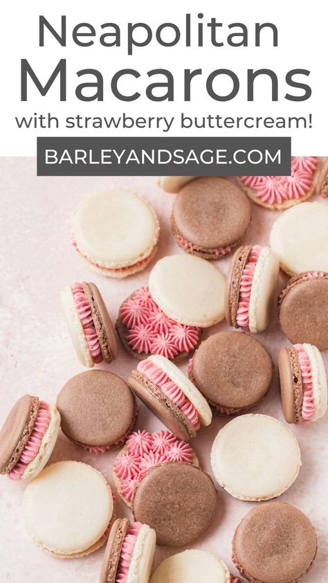 These Neapolitan macarons feature chocolate and vanilla macaron shells filled with light, strawberry buttercream! They're perfect for people who hate having to choose between chocolate, vanilla, and strawberry! Vanilla Macaroons, French Macaroon Recipes, Macarons Recipe, Macaron Filling, Chocolate Macaron, Macaron Flavors, Macaron Cookies, French Macaroons, Strawberry Buttercream