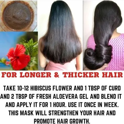 Kumkum Behera on Instagram: "For stronger and thicker hair . . . . .. . . . . . #hibiscusflower #hibiscustattoo #hibiscustea #hibiscusflowers #hibiscus🌺 #northernhibiscus #hibiscushairmask #hibiscussabdariffa #hibiscusflowers🌺 #strongandthickhair #beautyandhairsecrets" For Fast Hair Growth, Longer Thicker Hair, Hair Growth Tonic, Hibiscus Sabdariffa, Fast Hair Growth, Hair Growth Foods, Growing Hair, Thicker Fuller Hair, Fast Hair