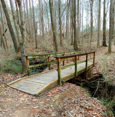 Backyard Bridges, Japan Garden, White Deer, Wooden Bridge, Deer Park, Garden Bridge, The White, Deer, Bridge