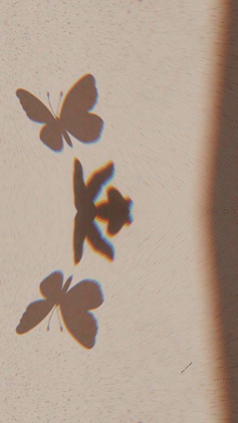 Butterfly 🦋 wallpaper Wallpaper Shadow, Emo Wallpaper, Aesthetic Pics, Butterfly Wallpaper, Aesthetic Pictures, Butter, Quick Saves