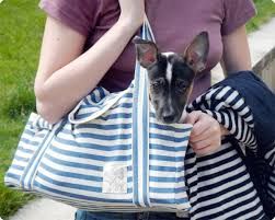 13 DIY Dog Travel Accessories To Make Your Next Outing Effortless - BARK Post Dog Carrier Pattern, Diy Dog Bag, Dog Travel Accessories, Carrier Pattern, Biking With Dog, Dog Carrier Bag, Travel Outfit Summer, Dog Bag, Travel Diy