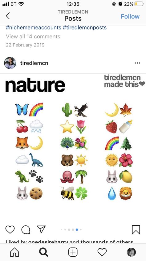 Emojis Combinations, Nature Captions, Emojis Iphone, Good Apps For Iphone, Emoji Ideas, Daniel Silva, Emoji Combos, Adventure Ideas, Emoji Backgrounds