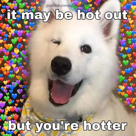 ♡ Original Wholesome Memes ♡ on Instagram: “idk bout all yall but it getting hot out qwq 🔥 Don't repost unless you tag and mention me, thank you :) . . . . . . . . #wholesomebfmemes…” You So Hot Meme, You Look Handsome, Wholesome Flirting, Touch Meme, Thank You Memes, Funny Responses, Cute Messages For Him, Bf Memes, Beautiful Meme